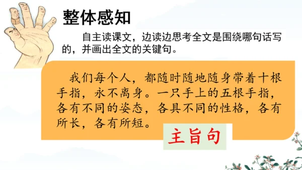 22 手指 课件