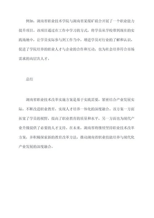 湖南职业技术改革实施方案