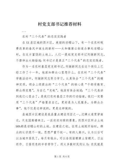 村党支部书记推荐材料 (3).docx