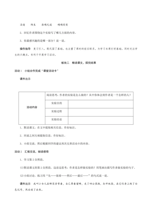 14《蜜蜂》（创新教案+课堂活动卡+课前预学案）
