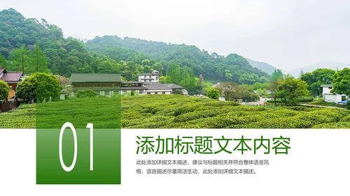 最美乡村乡村旅游美丽乡村新农村建设PPT