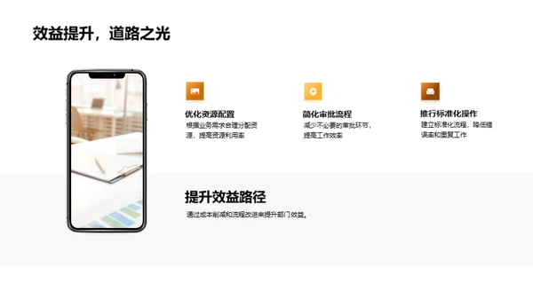 财务优化与效益提升