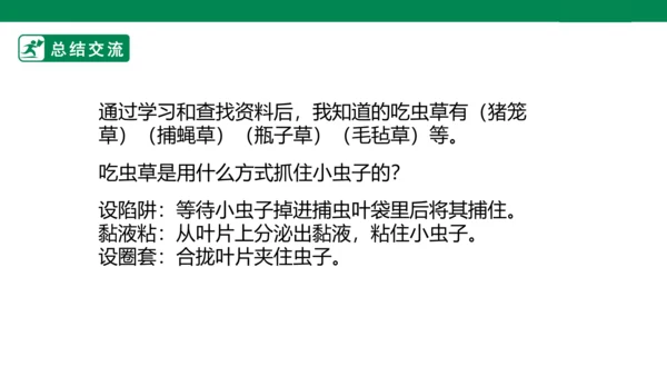 第二课《吃虫草》课件
