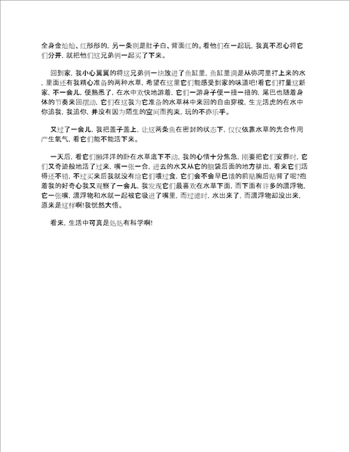 生活中的科学知识作文400字