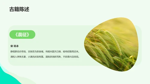 绿色插画小满节气科普培训课件PPT模板