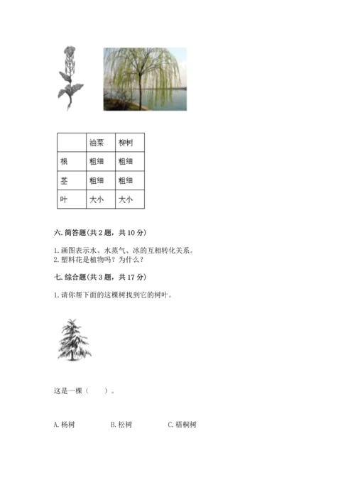 教科版科学一年级上册第一单元《植物》测试卷【轻巧夺冠】.docx