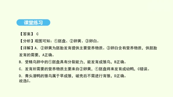 7.1.4鸟的生殖和发育课件-人教版生物八年级下册(共28张PPT)