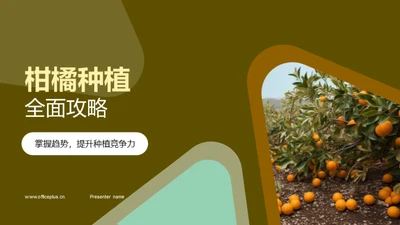 柑橘种植全面攻略