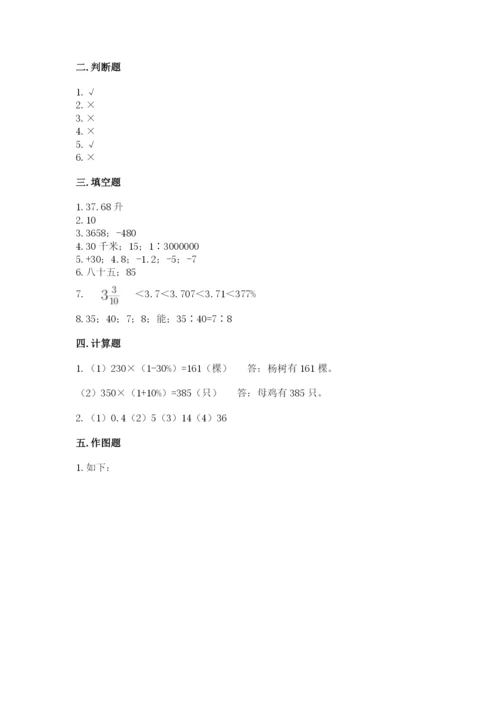 通榆县六年级下册数学期末测试卷（能力提升）.docx