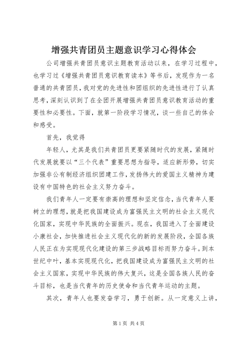 增强共青团员主题意识学习心得体会 (3).docx