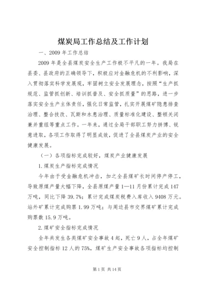 煤炭局工作总结及工作计划.docx