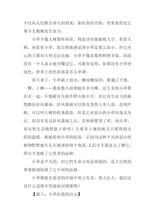 小草给我的启示作文.docx