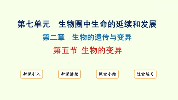 7.2.5生物的变异-八年级生物人教版下学期同步精品课件(共34张PPT)