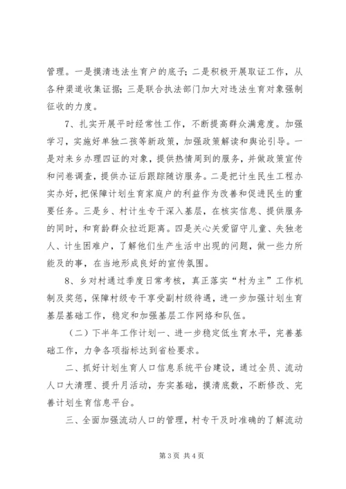 乡镇计生办上半年工作总结及下半年工作计划.docx