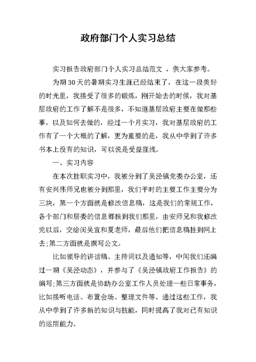 政府部门个人实习总结