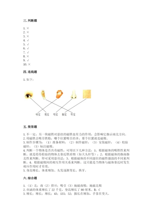 教科版小学科学二年级下册 期末测试卷word版.docx