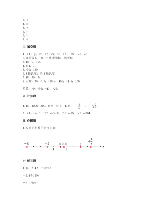 人教版六年级下册数学期末测试卷（全优）word版.docx