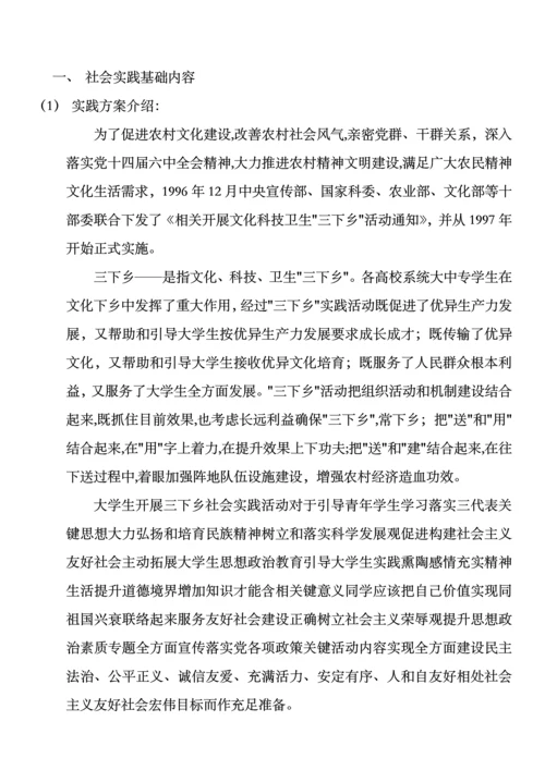 团队社会实践活动具体实施专业方案.docx