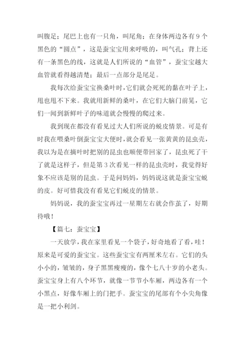 蚕宝宝的作文-1.docx