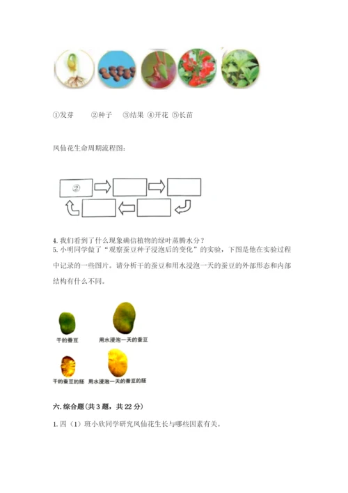 教科版四年级下册科学第一单元《植物的生长变化》测试卷【名校卷】.docx