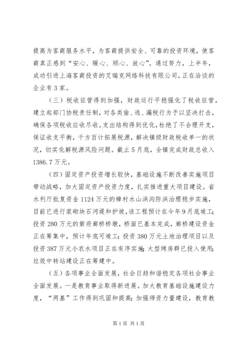 乡镇上半年经济工作总结及下半年工作计划.docx