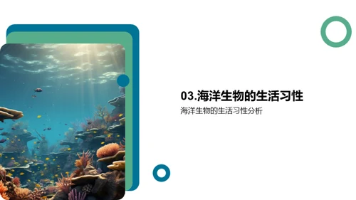 探秘海洋生物