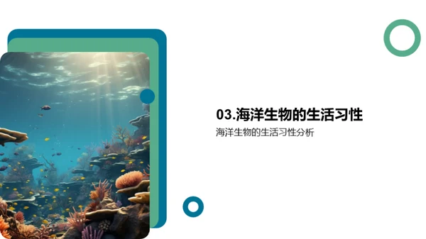 探秘海洋生物