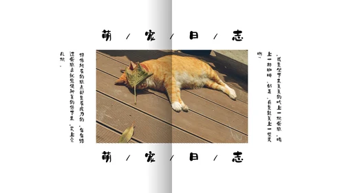 简约宠物萌宠画册电子相册通用PPT模板