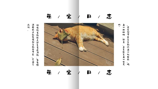 简约宠物萌宠画册电子相册通用PPT模板