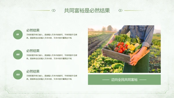 农村发展迈向一同富裕PPT模板