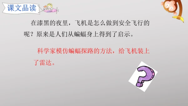 6 夜间飞行的秘密   课件