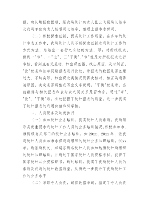 水利统计自查报告.docx