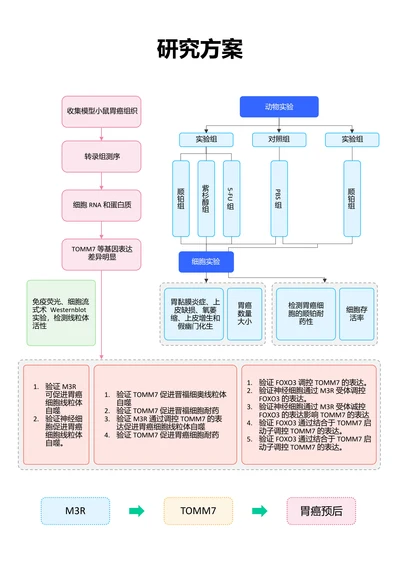 彩色清新通用研究方案论文流程图