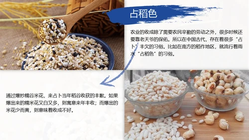春天雨水绿叶晨露二十四节气通用PPT课件