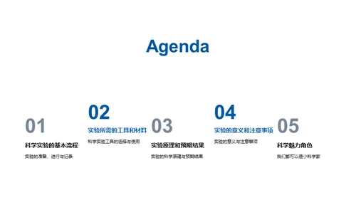 小小科学家的实验之旅