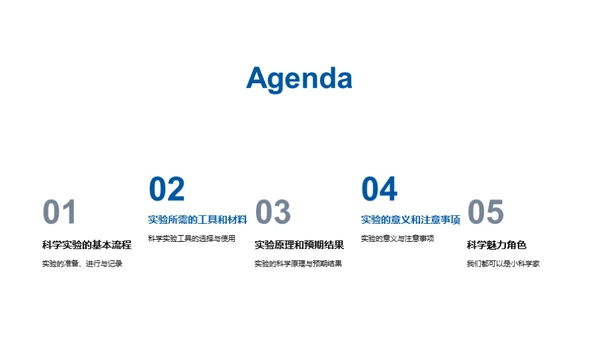 小小科学家的实验之旅
