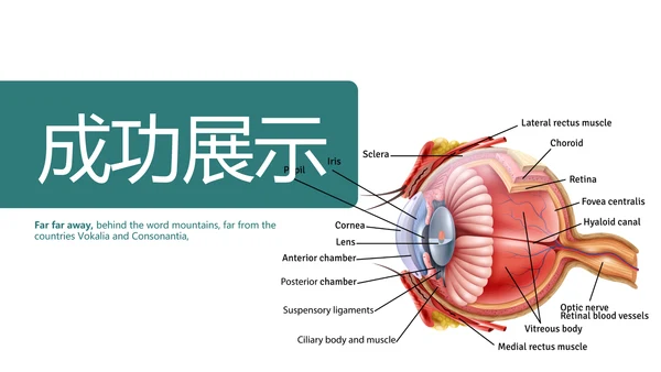 医疗眼科学动态PPT
