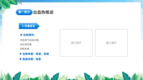 蓝色简约医疗肾综合出血热治疗预防讲座PPT护理