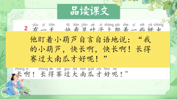 14.《我要的是葫芦》第2课时 课件