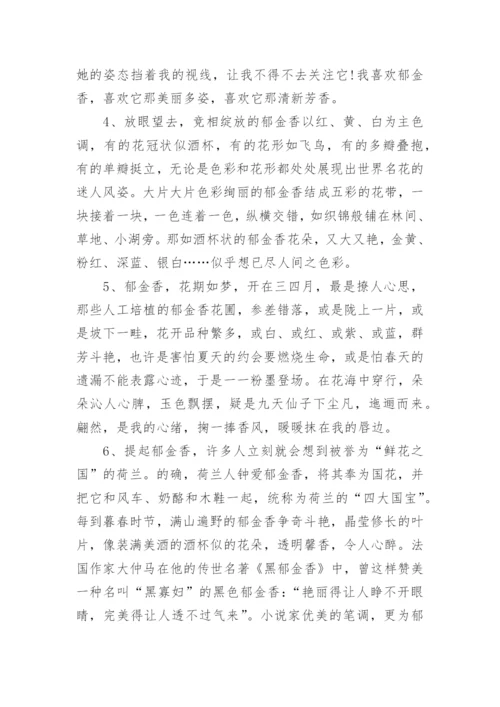 郁金香唯美句子.docx