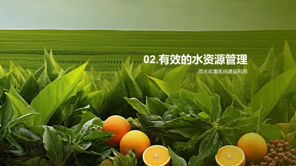 亚热带水果绿色种植解析
