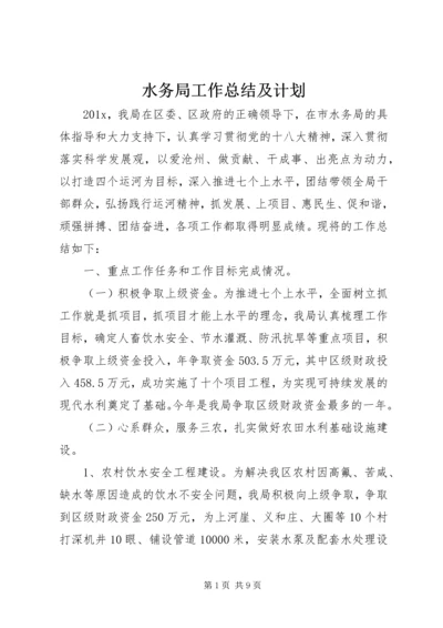 水务局工作总结及计划.docx