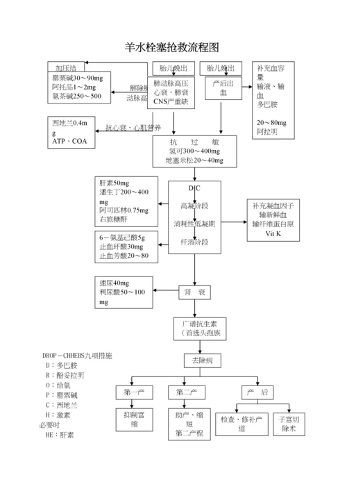 产后出血、子痫、羊水栓塞抢救流程图.docx