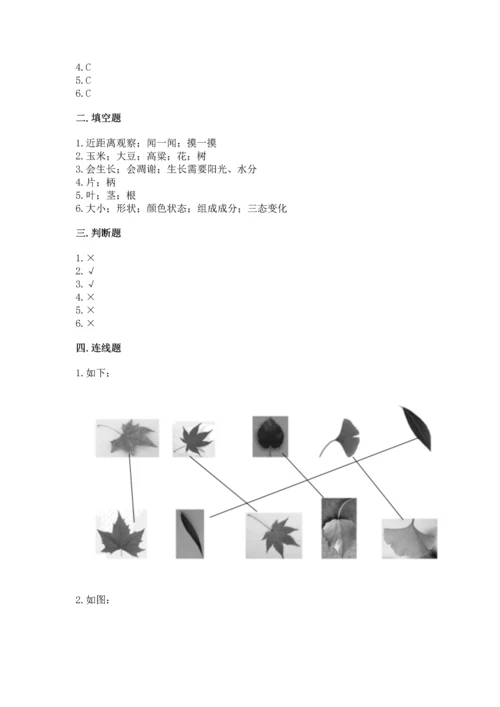 教科版科学一年级上册第一单元《植物》测试卷及参考答案【预热题】.docx