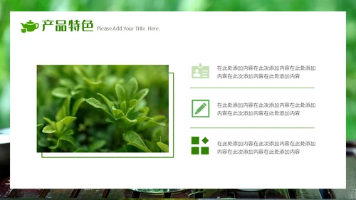 春茶产品宣传介绍茶业行通用PPT模板