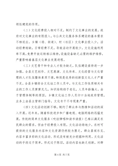 公共文化服务体系的思考.docx