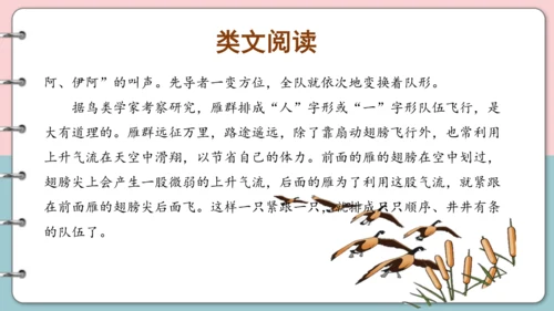 第15课《搭船的鸟》（第二课时）课件