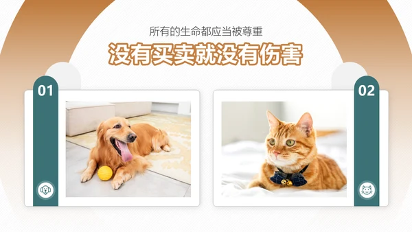 宠物领养猫咪通用PPT模板