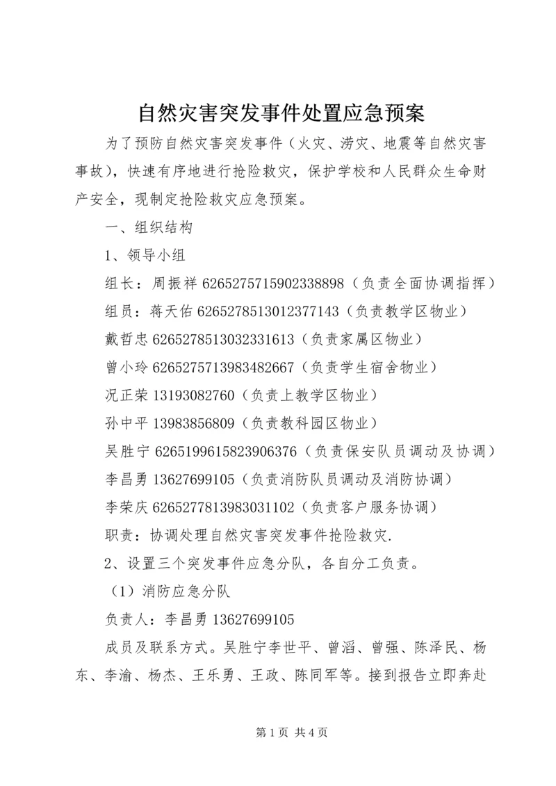 自然灾害突发事件处置应急预案.docx