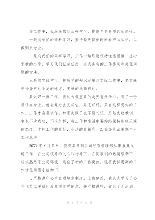 业务员试用期个人工作总结三篇.docx